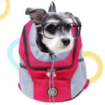 Dog Accessories
