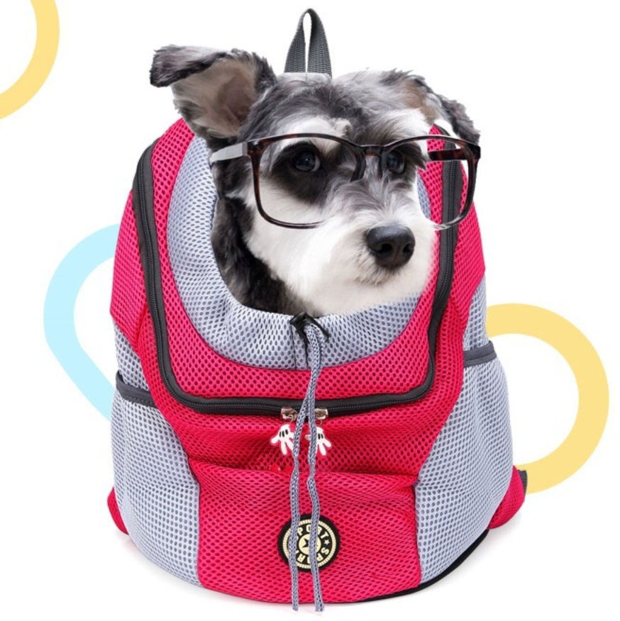 Dog Accessories