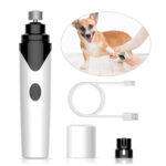 Dog Grooming